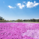 スクリーンショット 2023 01 16 19.57.39 e1673866701724