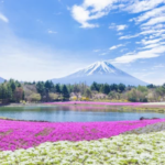 スクリーンショット 2023 01 22 3.27.43 e1674325719690