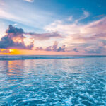 AdobeStock 269821180 scaled e1679494579193