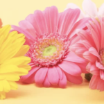 スクリーンショット 2023 04 16 15.45.09 e1681627559293