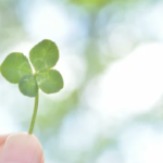 スクリーンショット 2023 04 26 21.41.42 e1682512948253