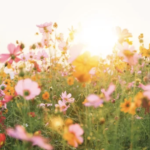 スクリーンショット 2023 05 15 19.22.31 e1684146203711