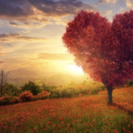 スクリーンショット 2023 05 21 15.21.43 e1684650160424