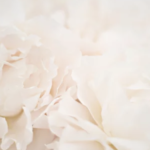 スクリーンショット 2023 05 22 13.08.20 e1684728567920