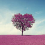 AdobeStock 190996069 scaled e1685799455524