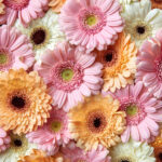 AdobeStock 196038759 scaled e1685940526206