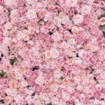 スクリーンショット 2023 06 13 11.38.34 e1686623947868