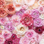 スクリーンショット 2023 06 13 12.13.10 e1686626020750