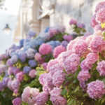 スクリーンショット 2023 06 16 14.13.42 e1686892545788