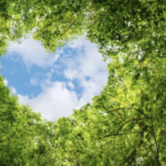 スクリーンショット 2023 06 20 14.55.16 e1687240554648