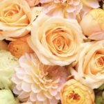 スクリーンショット 2023 06 23 16.02.07 e1687504221769