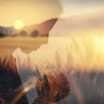 スクリーンショット 2023 07 03 16.57.25 e1688371086332