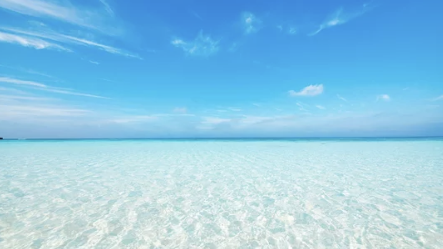 スクリーンショット 2023 07 07 7.52.25 e1688683985862