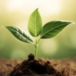 スクリーンショット 2023 07 11 13.29.13 e1689049793479