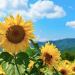 スクリーンショット 2023 08 02 20.07.58 e1690974546637