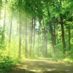 スクリーンショット 2023 08 05 17.33.21 e1691224456851