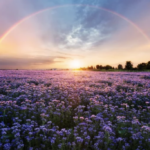 スクリーンショット 2023 08 08 13.52.00 e1691470369433