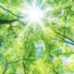 スクリーンショット 2023 08 18 15.43.44 e1692341145493