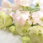 スクリーンショット 2023 08 25 14.41.11 e1692942113318