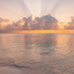 スクリーンショット 2023 08 28 17.25.06 e1693211148108