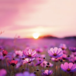 スクリーンショット 2023 09 13 16.34.46 e1694590540655