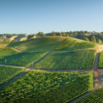 スクリーンショット 2023 10 02 15.14.02 e1696227310212