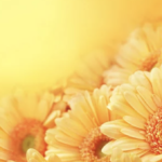 スクリーンショット 2023 10 12 11.55.01 e1697079765806