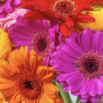 スクリーンショット 2023 10 12 12.18.08 e1697080755735