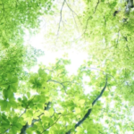 スクリーンショット 2023 11 22 13.19.17 e1700626783984