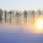 スクリーンショット 2023 12 15 15.53.34 e1702623265672