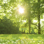 スクリーンショット 2023 12 15 19.15.45 e1702635388713