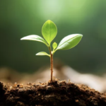 5bf94a1a6f4f93f020d604e7683e837c e1704451455397