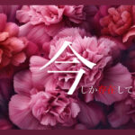 85F011C3 F2BE 420E A6DA 83ED6FD8522B e1705644902387