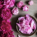 44f5b13c6c06e29632c770565b276329 e1707025588329