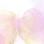 77c0ceed31e6af020cf5daced470f9cc e1718074182496