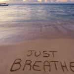 8e51baf978f9c60971011e993ae5a9d0 e1720352914875