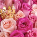 e2d0b45e3b3285ea9d4e33764116d0d5 e1721366272806