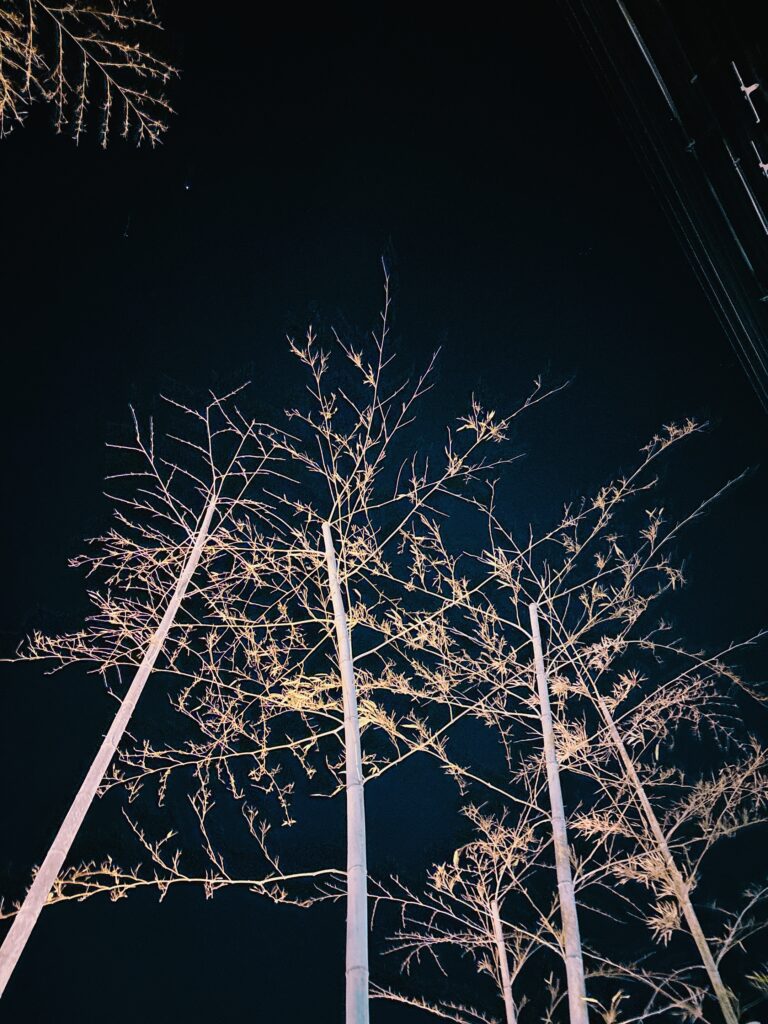 IMG 3841 IMG 3841