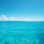 079411301e541b6259590e1fcc004414