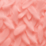 4ea19892a7c18763e37d52cb1674a117