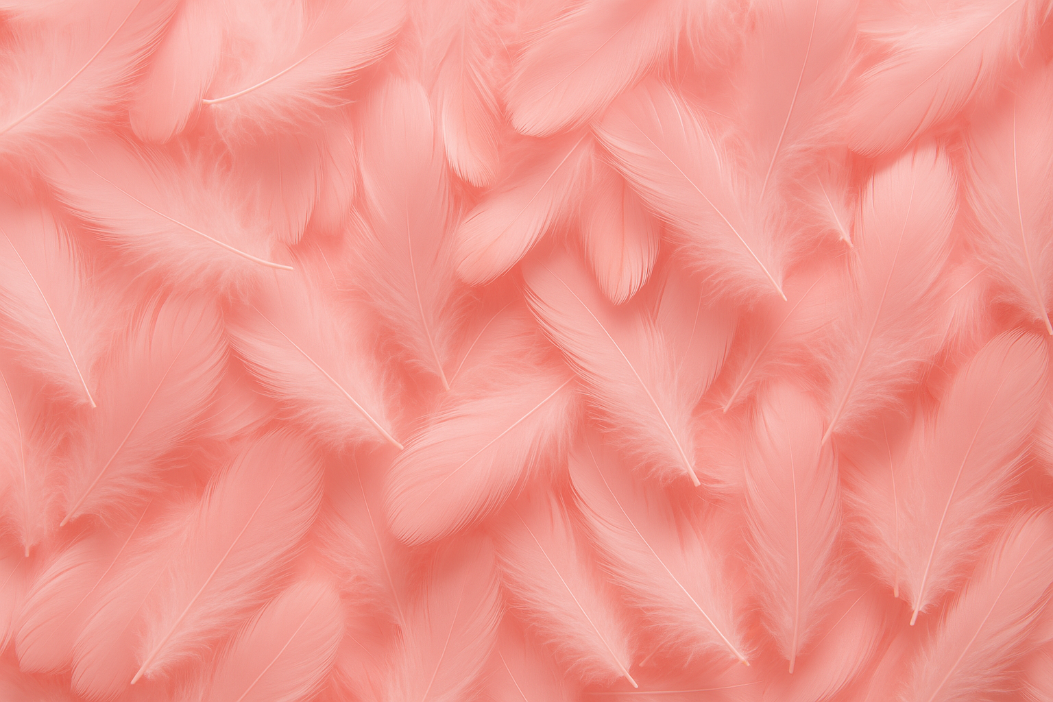 4ea19892a7c18763e37d52cb1674a117