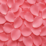 cc338052368707cc7624b85fcb1117f4