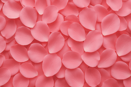 cc338052368707cc7624b85fcb1117f4