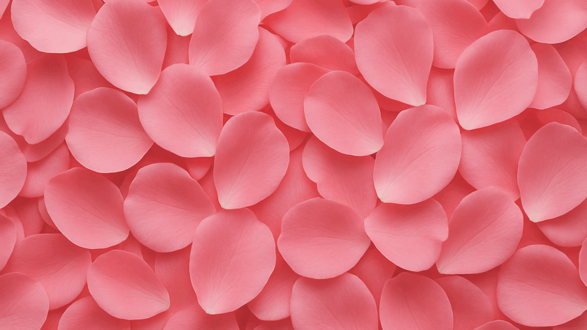 cc338052368707cc7624b85fcb1117f4