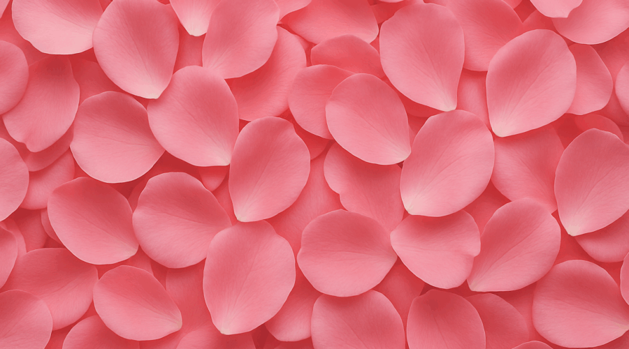 cc338052368707cc7624b85fcb1117f4