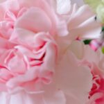 IMG 8528 scaled e1760670579664