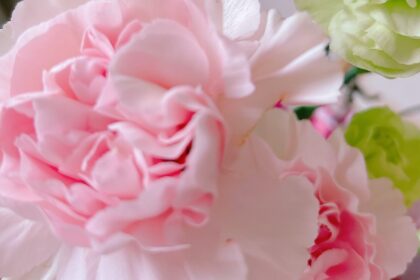 IMG 8528 scaled e1760670579664