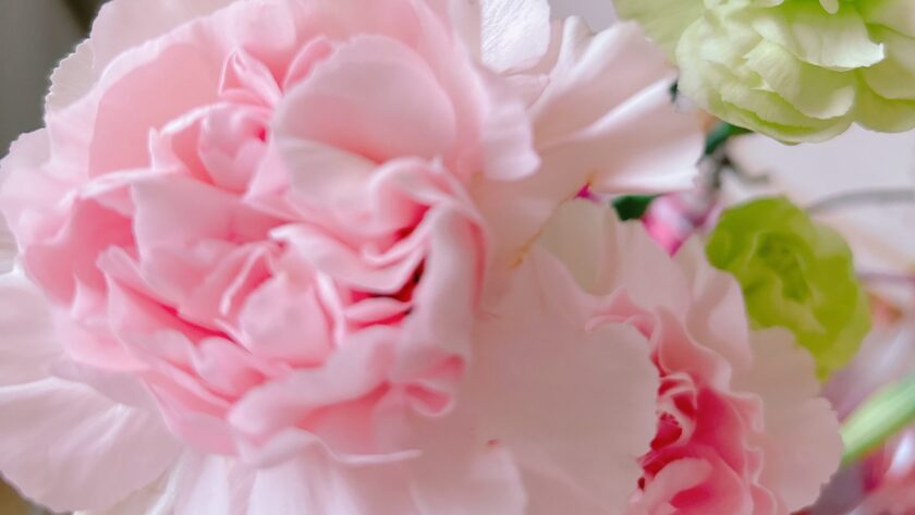 IMG 8528 scaled e1760670579664