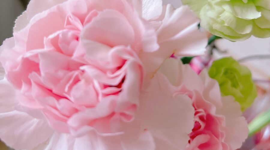 IMG 8528 scaled e1760670579664