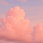 fc0a3b78cedd4adcd33604753b122427